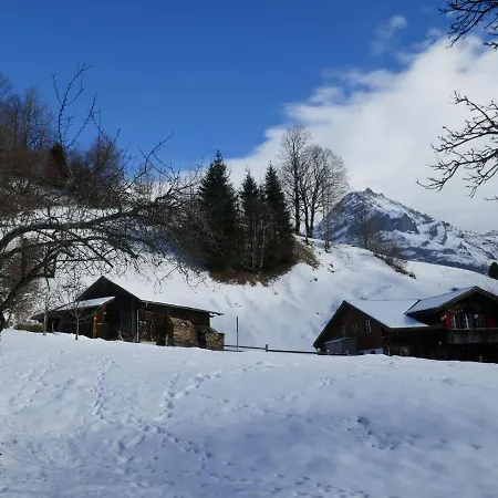 Chalet Schwendihus-10 By Interhome * Grindelwald