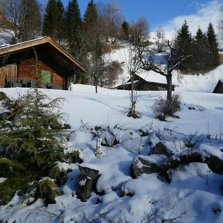 Chalet Schwendihus-10 By Interhome * Grindelwald